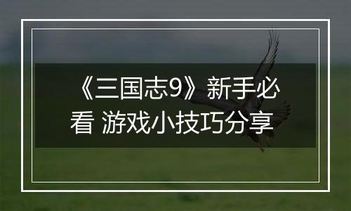 《三国志9》新手必看 游戏小技巧分享