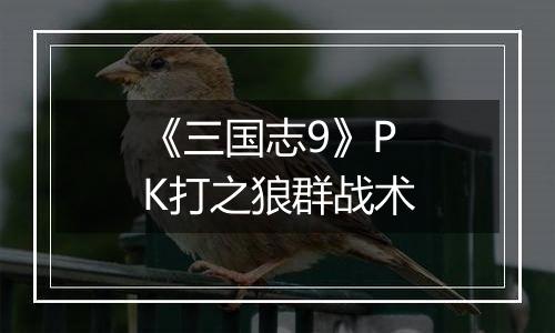 《三国志9》PK打之狼群战术
