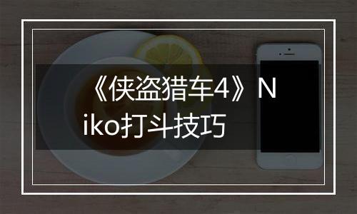 《侠盗猎车4》Niko打斗技巧