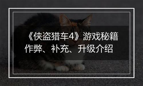 《侠盗猎车4》游戏秘籍作弊、补充、升级介绍