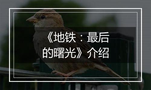 《地铁：最后的曙光》介绍