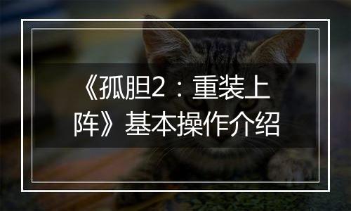 《孤胆2：重装上阵》基本操作介绍