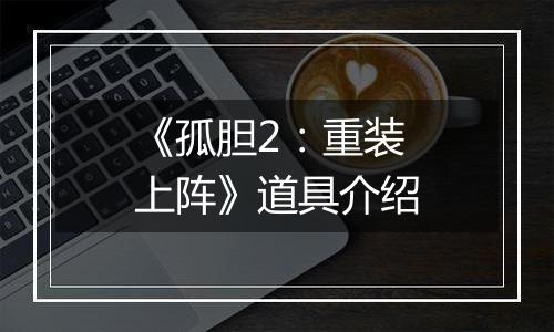 《孤胆2：重装上阵》道具介绍