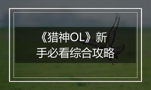 《猎神OL》新手必看综合攻略