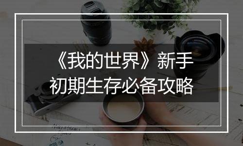 《我的世界》新手初期生存必备攻略