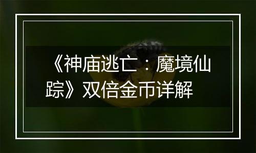 《神庙逃亡：魔境仙踪》双倍金币详解