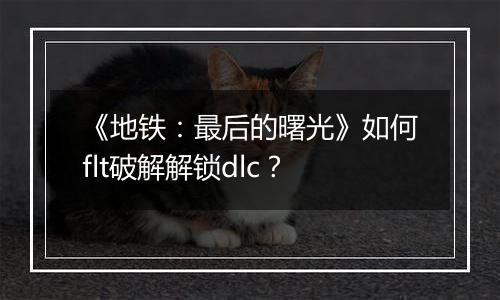 《地铁：最后的曙光》如何flt破解解锁dlc？