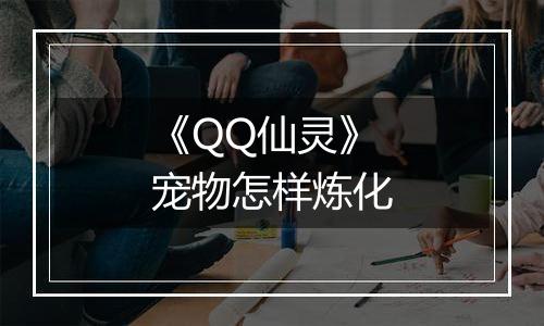 《QQ仙灵》宠物怎样炼化