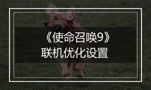 《使命召唤9》联机优化设置