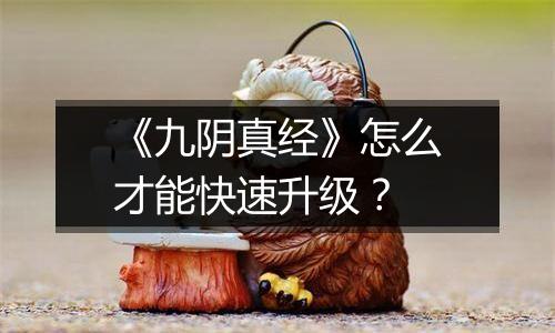 《九阴真经》怎么才能快速升级？