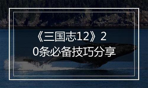 《三国志12》20条必备技巧分享