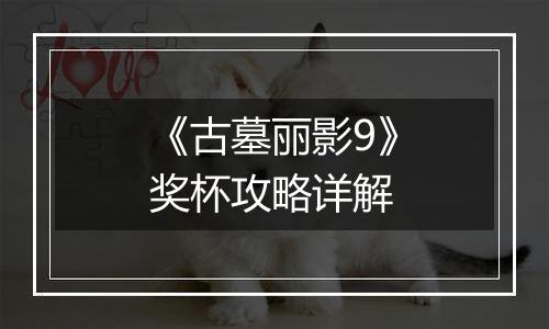 《古墓丽影9》奖杯攻略详解