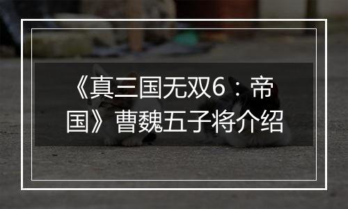 《真三国无双6：帝国》曹魏五子将介绍