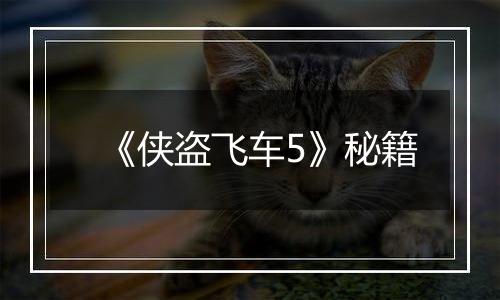 《侠盗飞车5》秘籍