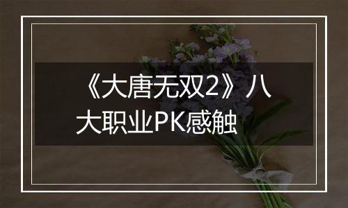 《大唐无双2》八大职业PK感触