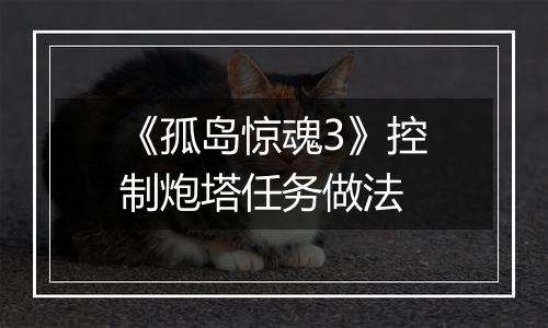 《孤岛惊魂3》控制炮塔任务做法