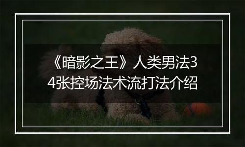 《暗影之王》人类男法34张控场法术流打法介绍