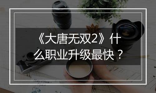 《大唐无双2》什么职业升级最快？