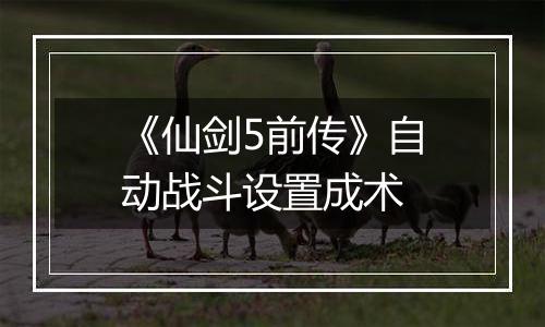 《仙剑5前传》自动战斗设置成术