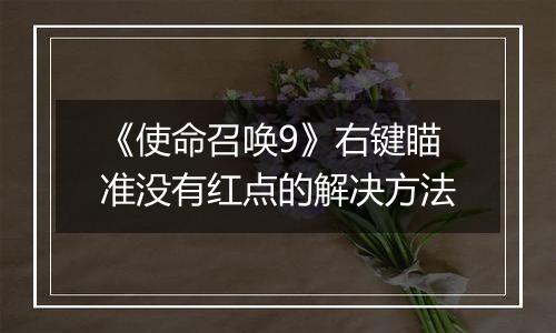 《使命召唤9》右键瞄准没有红点的解决方法
