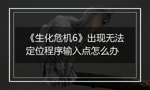 《生化危机6》出现无法定位程序输入点怎么办