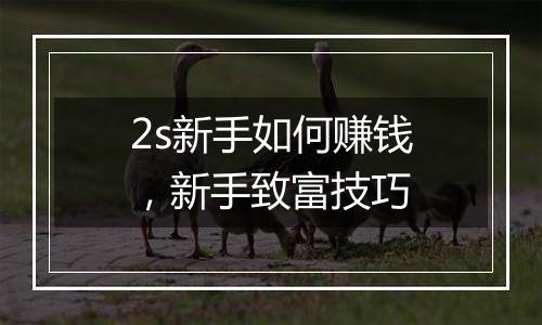 2s新手如何赚钱，新手致富技巧
