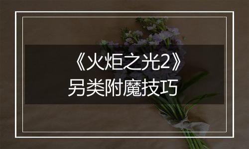 《火炬之光2》另类附魔技巧