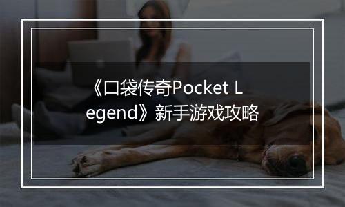 《口袋传奇Pocket Legend》新手游戏攻略