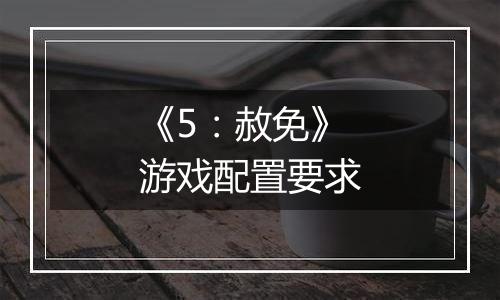 《5：赦免》游戏配置要求