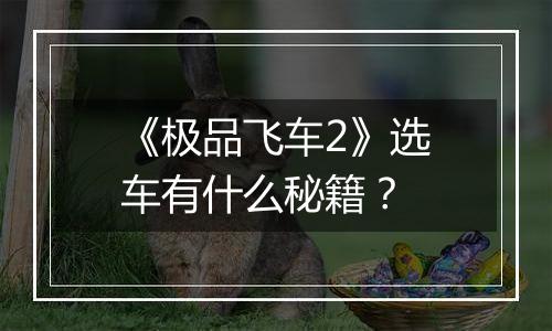 《极品飞车2》选车有什么秘籍？