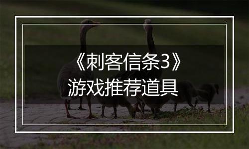 《刺客信条3》游戏推荐道具