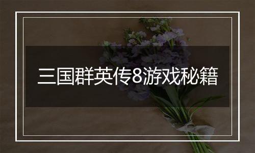 三国群英传8游戏秘籍