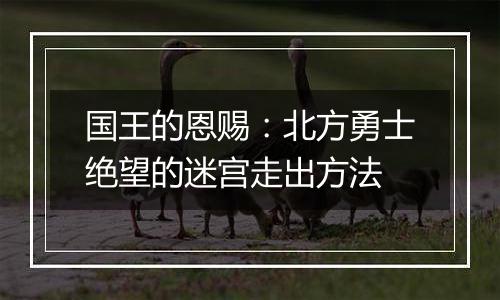 国王的恩赐：北方勇士绝望的迷宫走出方法