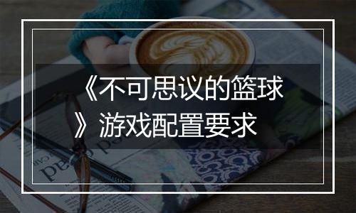 《不可思议的篮球》游戏配置要求