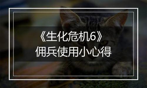 《生化危机6》佣兵使用小心得