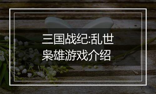 三国战纪:乱世枭雄游戏介绍