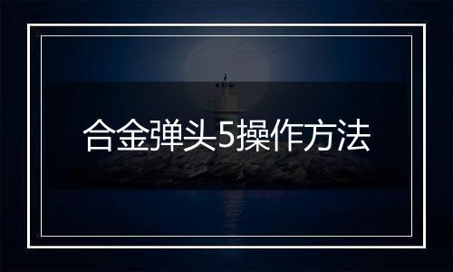 合金弹头5操作方法