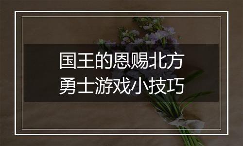 国王的恩赐北方勇士游戏小技巧