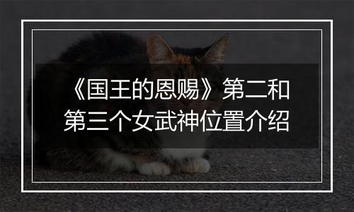 《国王的恩赐》第二和第三个女武神位置介绍