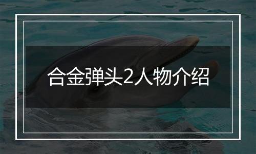 合金弹头2人物介绍