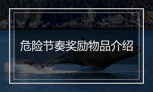 危险节奏奖励物品介绍