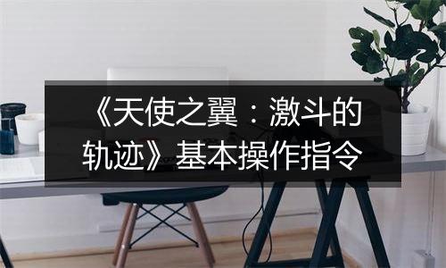 《天使之翼：激斗的轨迹》基本操作指令