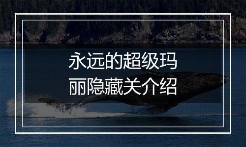 永远的超级玛丽隐藏关介绍