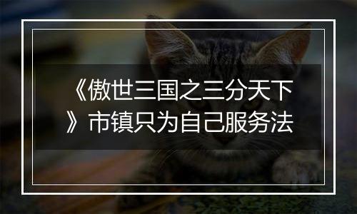 《傲世三国之三分天下》市镇只为自己服务法
