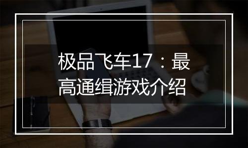 极品飞车17：最高通缉游戏介绍