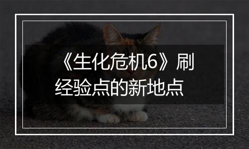 《生化危机6》刷经验点的新地点