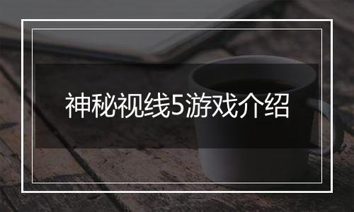 神秘视线5游戏介绍