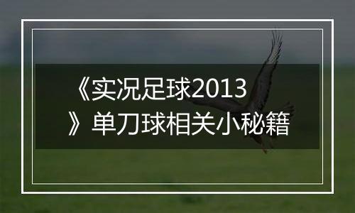 《实况足球2013》单刀球相关小秘籍