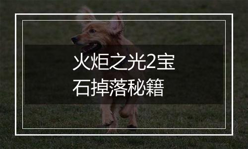 火炬之光2宝石掉落秘籍