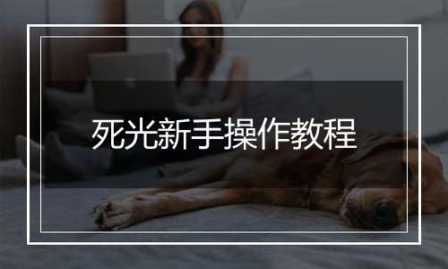死光新手操作教程